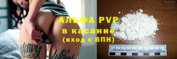 PSILOCYBIN Балахна