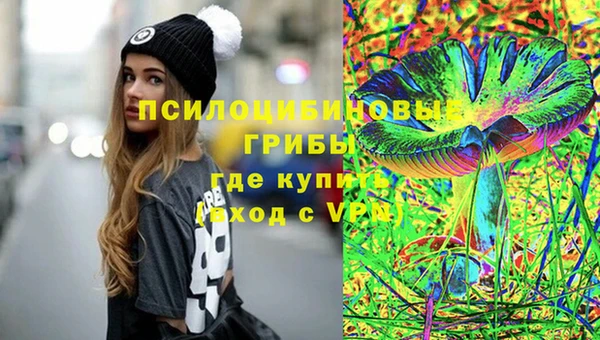 PSILOCYBIN Балахна