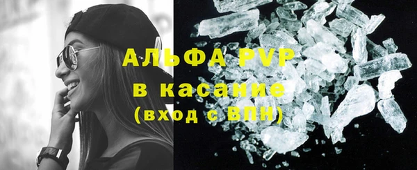 PSILOCYBIN Балахна