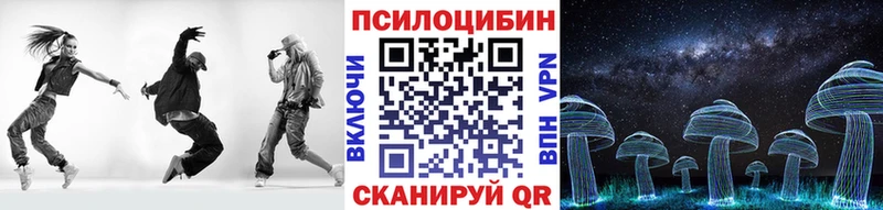 Купить закладки  Усть-Илимск  Галлюциногенные грибы Psilocybe 